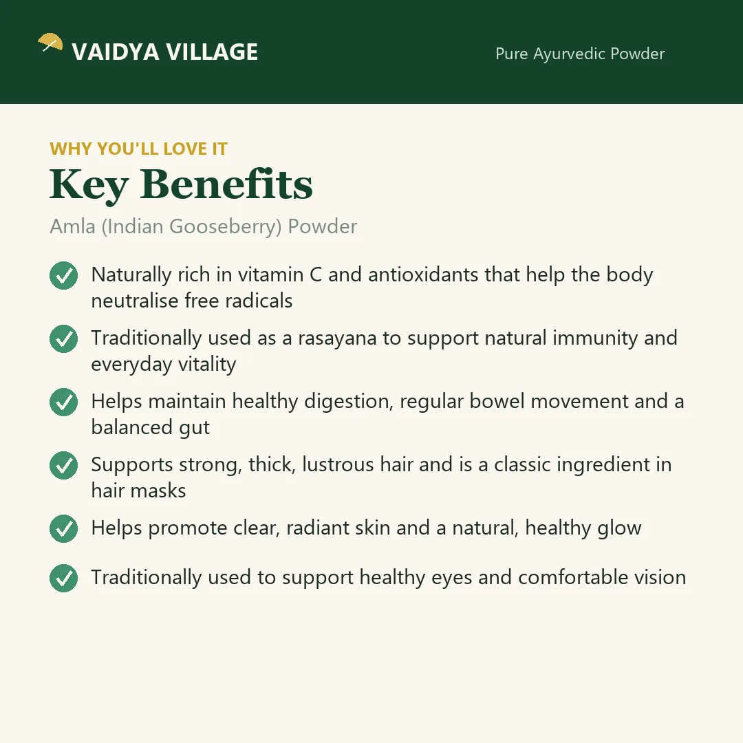 Amla (Indian Gooseberry) Powder view 3