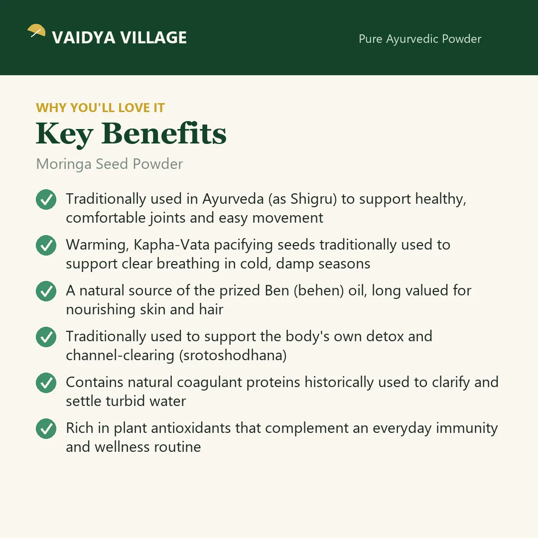 Moringa Seed Powder view 3