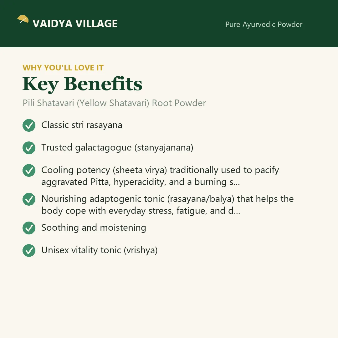 Pili Shatavari (Yellow Shatavari) Root Powder view 3