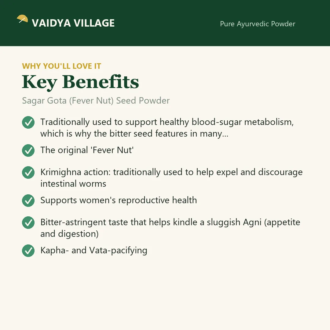 Sagar Gota (Fever Nut) Seed Powder view 3