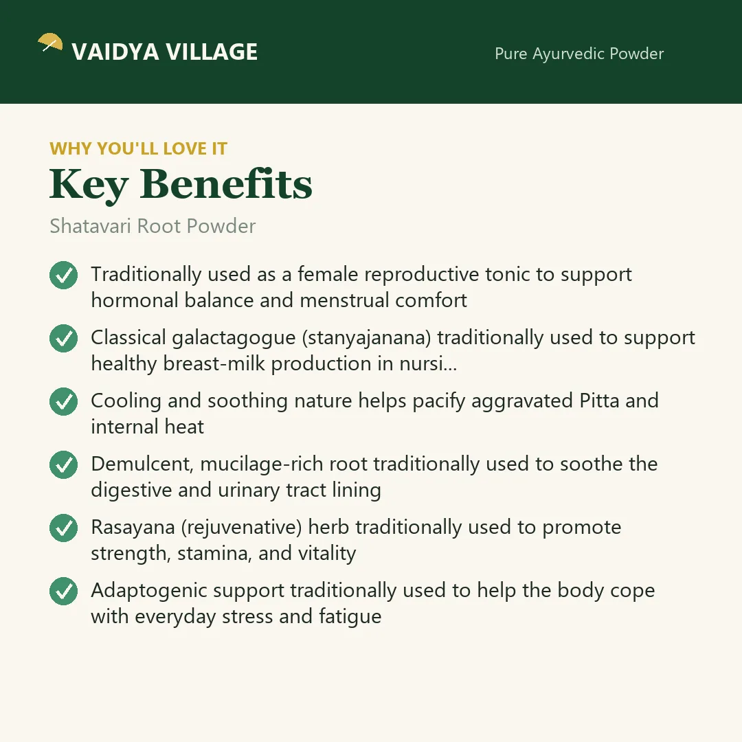 Shatavari Root Powder view 3